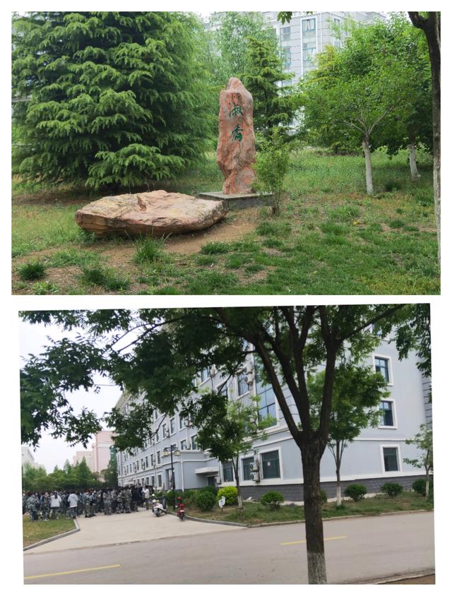 彩票十大网站巾帼木兰