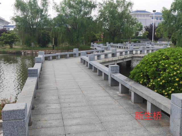 彩票十大网站新生桥